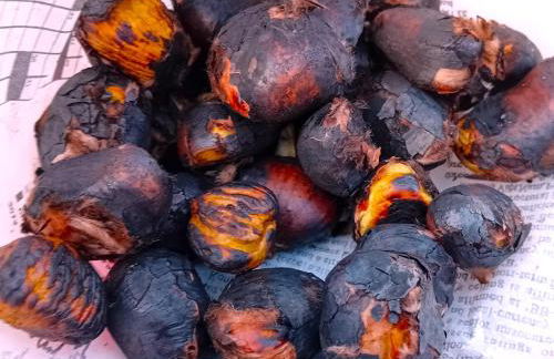 FeWo Passo-Palade - Foto 68