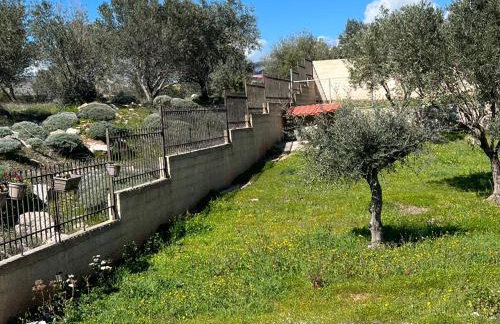 Villa Maxima Lavrio - Foto 55