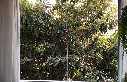 Apartamento Parque Jardim Europa - Foto 28