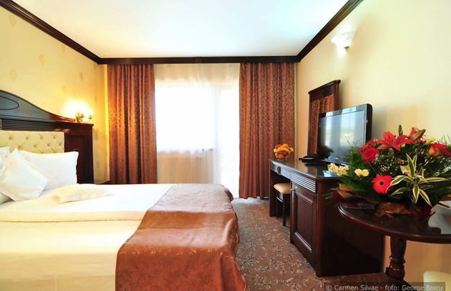 Vila Turistica Carmen Silvae - Foto 8