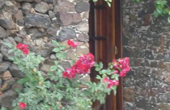 Casa Rural Aborigen Bimbache - Foto 18