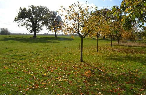 Alte Schule - Foto 7