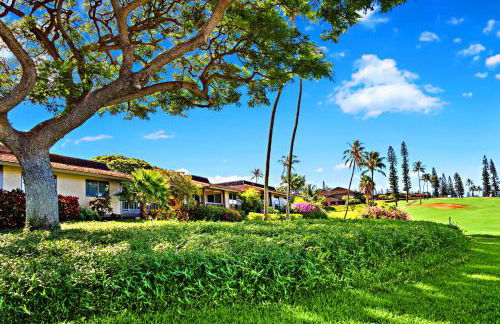 Kaanapali Plantation 54 - Photo 38