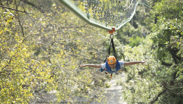 Volez à toute vitesse !