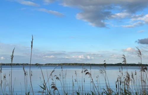 Ferienwohnung Meischen 4 Sterne DTV Klassifiziert - Foto 8