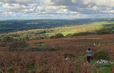 Rhydyfantwn Fach Cottage, Cardigan - Foto 30