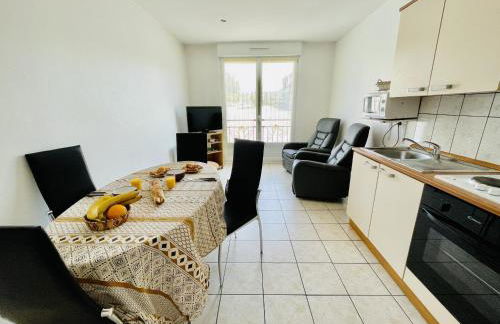 Residence Louis Place du Marche - Foto 72