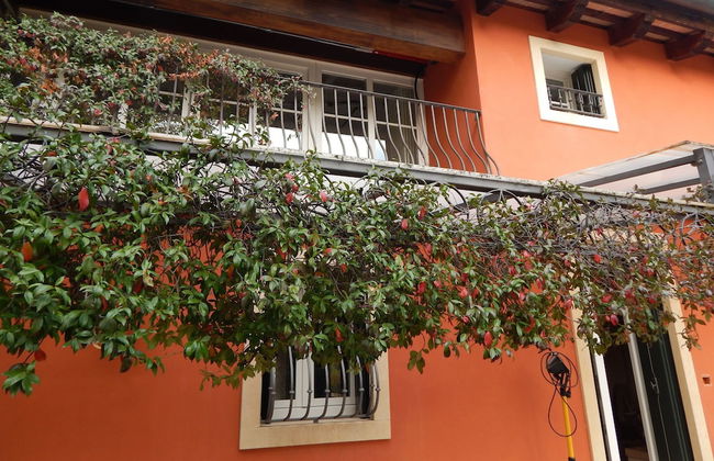 El Pavejo Alloggio e Colazione - Foto 67