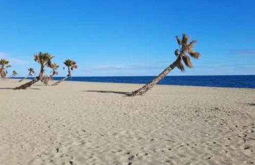 Coquet T 2 Le barcares Mer - Foto 21