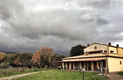 Il Bettarello - Foto 12