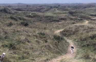 Another Place - Foto 10