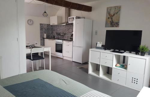 Grand studio centre historique Sancerre - Foto 2