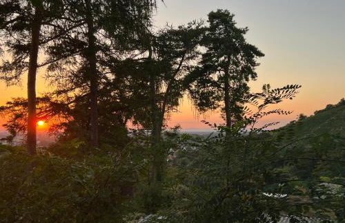 Luxuswohnung in Villa mit fantastischem Blick - Photo 5