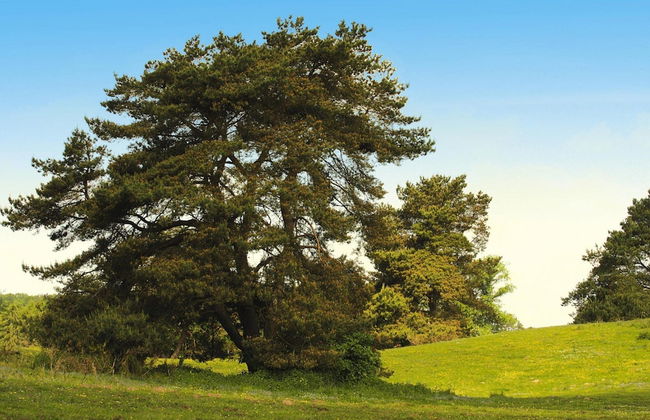 Ferienhaus am Garder See Inselblick - Photo 31