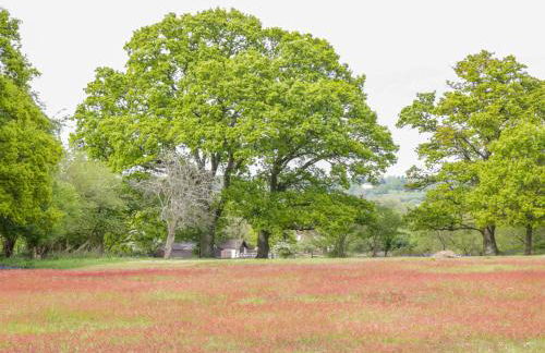 Pheasant Lodge - Photo 30