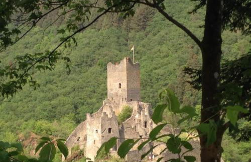 Fewo Vulkaneifel - Foto 28