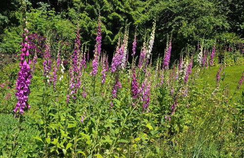 Whispering Woods Bayhouse - Foto 7