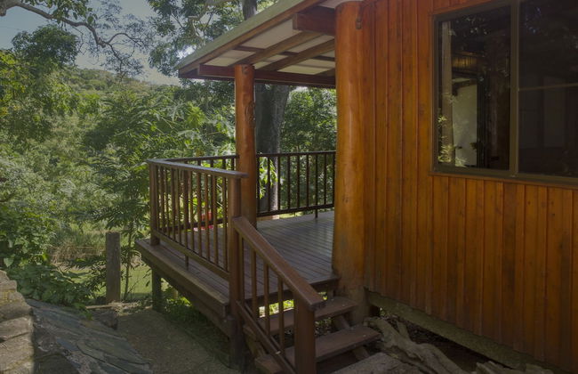 Milkwood Lodge - Photo 13