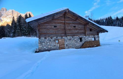 Baita Pra Petina Pale di San Martino - Photo 58