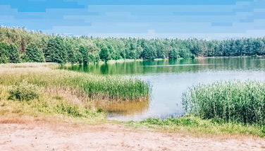 Lawendowy Poranek - Foto 3