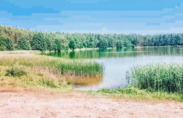 Lawendowy Poranek - Foto 3