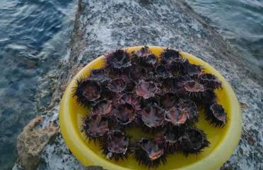 Casa di Rita con veranda vista mare - Foto 13