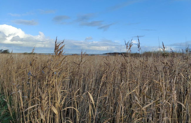 6 Person Holiday Home in Lemvig-by Traum - Foto 7