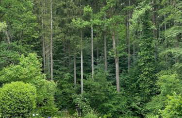 große und luxuriöse Ferienwohnung für max 8 Gäste - Foto 61