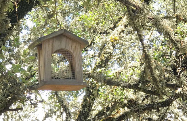 Ecolodge Cabañeros - Foto 9