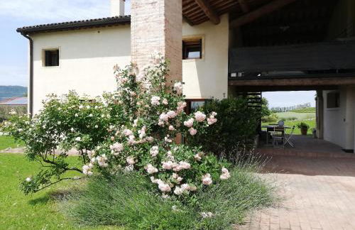 Corte Monticello - Foto 19