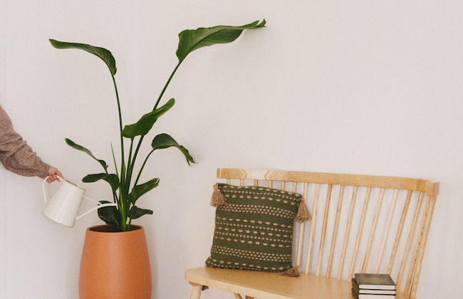 Chão do Ribeirinho - Photo 4