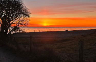 Ferienhof Lehbekwiese - Foto 5