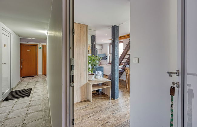 Spa Apartment Tinca - Foto 14