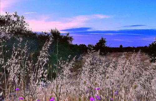 Dimora Santi Medici - Foto 77