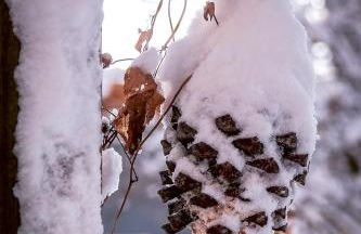 Traumhaftes GARTENLOFT - Photo 43