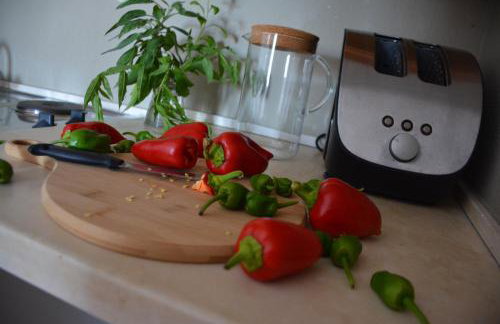 VILLA BIRIMIŠA LOPUD ISLAND - Photo 12