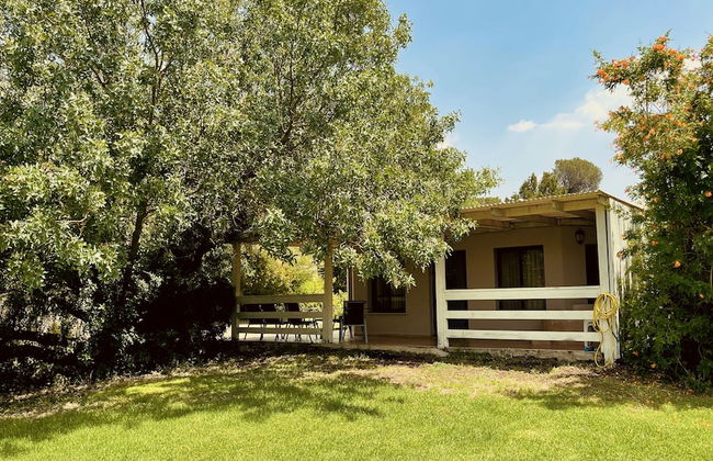 Nofey Habashan - Foto 78