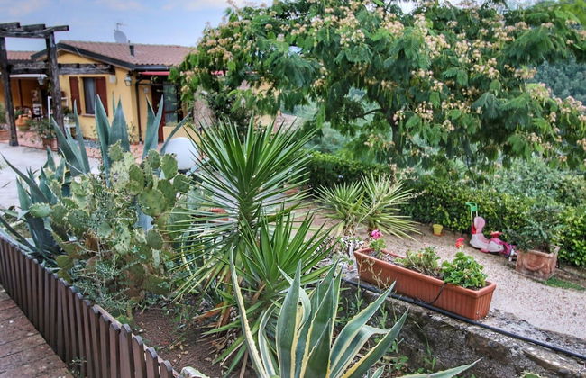 Country House With Swimming Pool and Garden With Mediterranean Plants - Foto 75