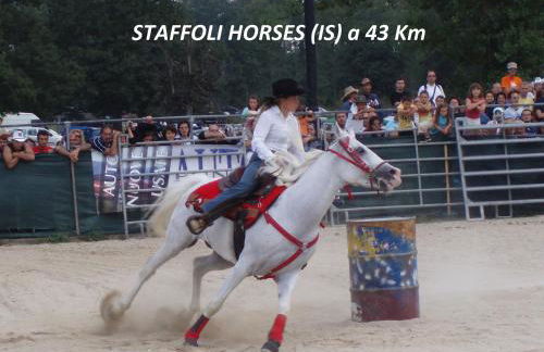 Villa Margherita - Foto 62