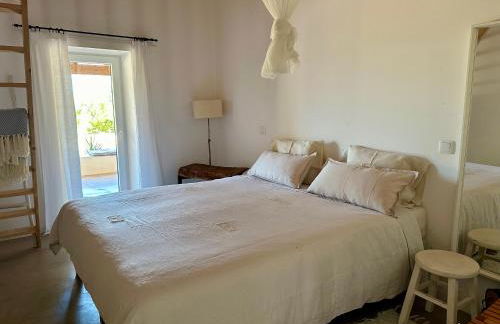 Amélia's House (Casa das Amélias) - Foto 26