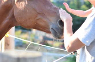 Gutshof Schirgiswalde - Foto 5