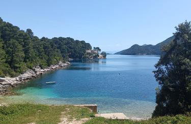 Studio apartment Dragana - Foto 8