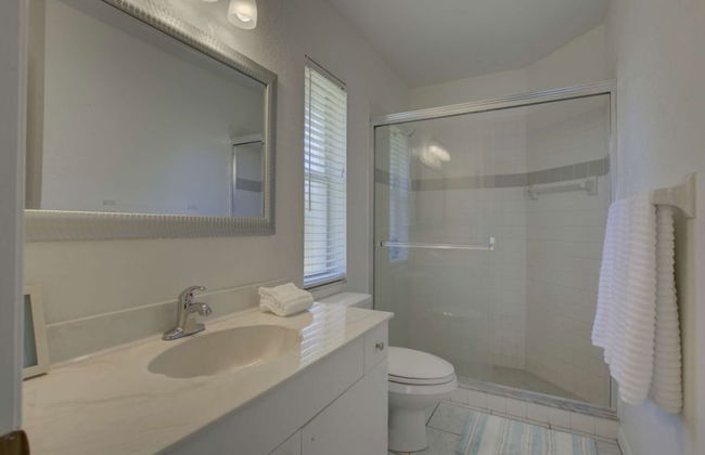 Smiling Dolphin - Foto 13