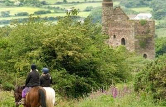 Lovely 3-bed Annex Located on a Working Farm - Foto 22