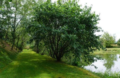 Le gîte et l'étang de pêche - Foto 25