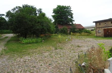 FeWo "Falter" im Kunstgut Krahne - Foto 28