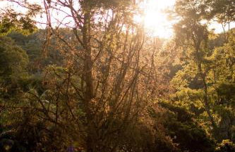 Casas Serranas - Villa Casa Blanca - Photo 17