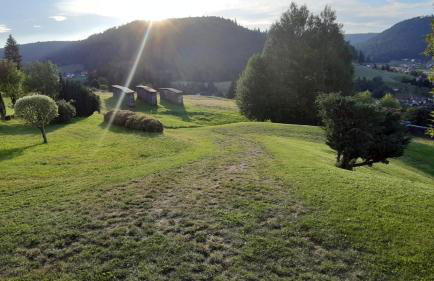 Ferienhaus Seefried - Foto 33