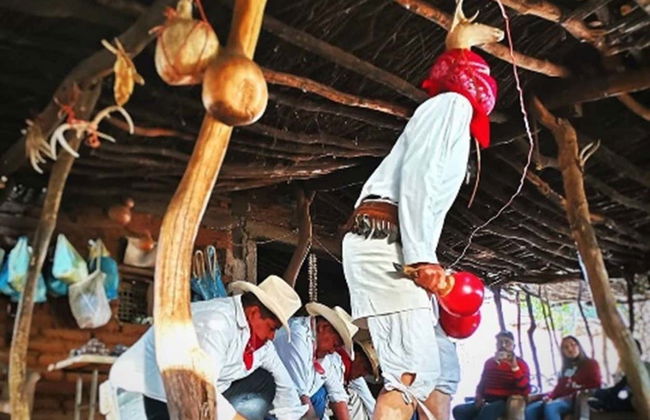 Mayo Indigenous Community Tour - Foto 3