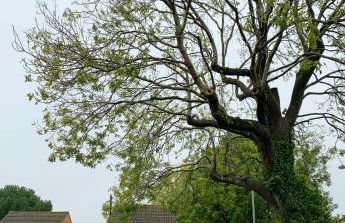 THE ASH TREE - Charming & comfortable apartment - Photo 29